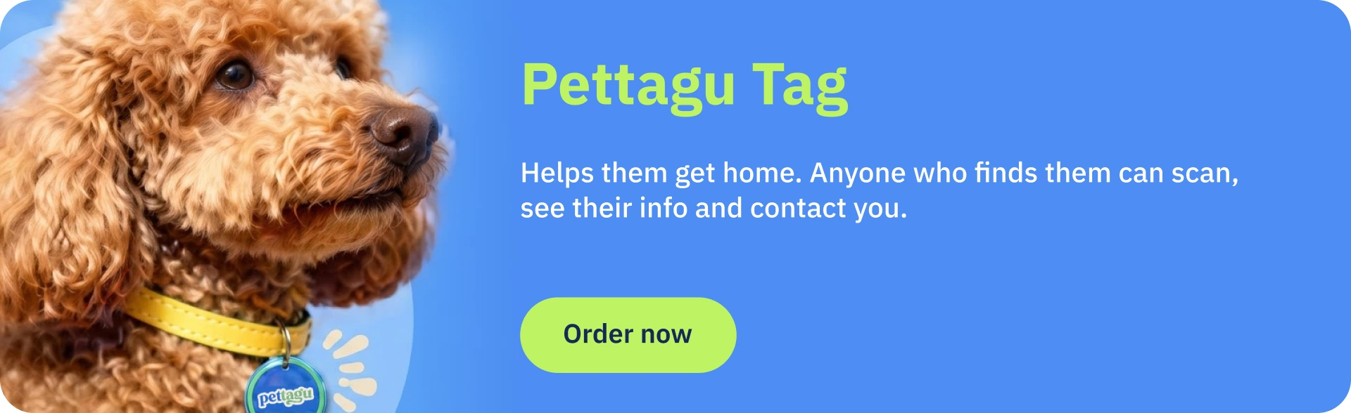 Pettagu Tag helps them get home. Order now.