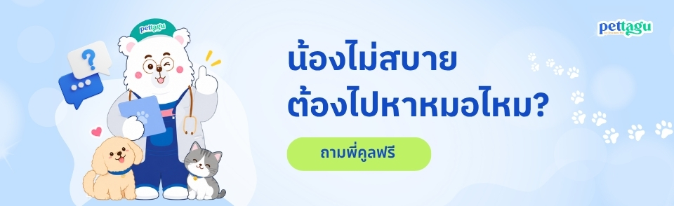 น้องไม่สบาย ต้องไปหาหมอไหม? ถามพี่คูลฟรี