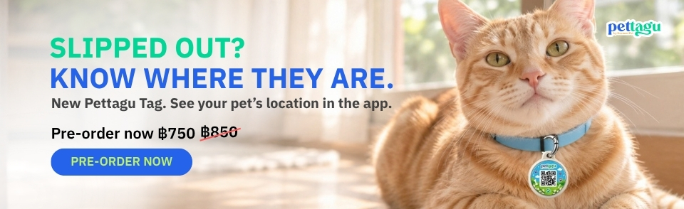 Preorder the new Pettagu Tag to see your pet’s location in the app.