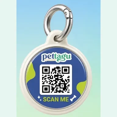 New Pettagu Tag 4