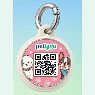 New Pettagu Tag 2