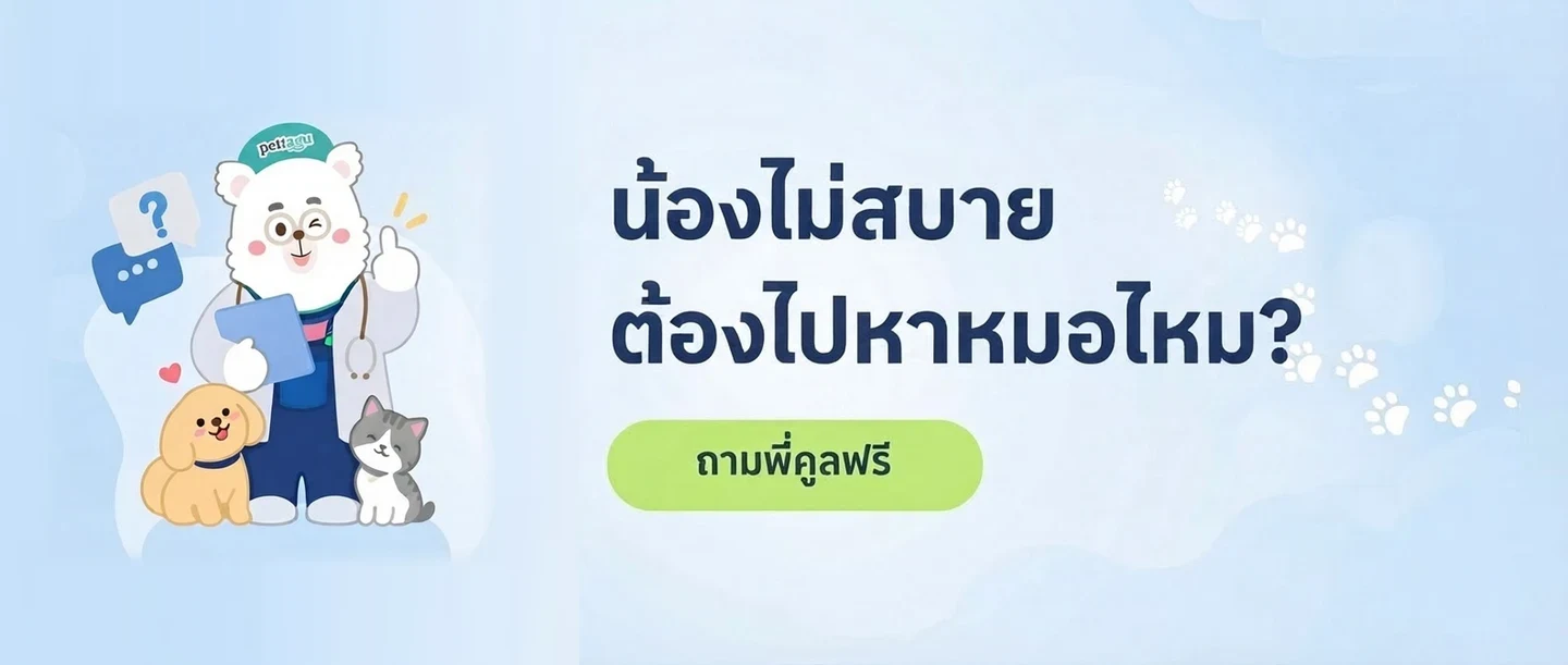 น้องไม่สบาย ต้องไปหาหมอไหม?
