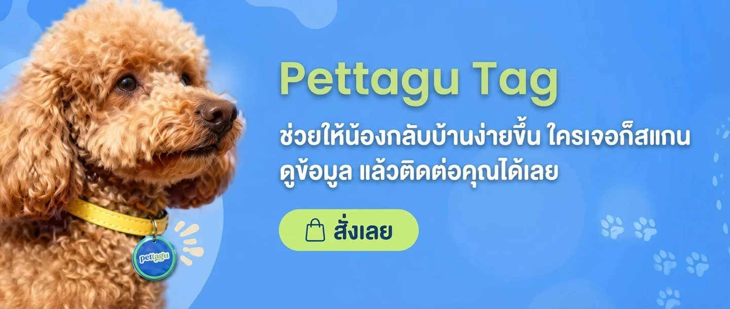 Pettagu Tag ป้ายชื่อสัตว์เลี้ยง