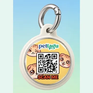 New Pettagu Tag 3