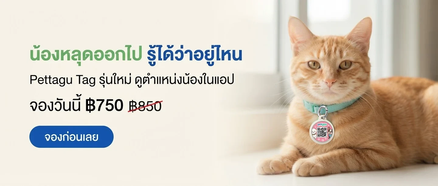 Banner image · Tag รุ่นใหม่ พรีออเดอร์ (ลิงก์ฟอร์มพรีออเดอร์)
