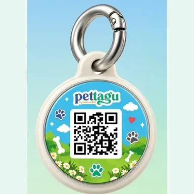 New Pettagu Tag 5
