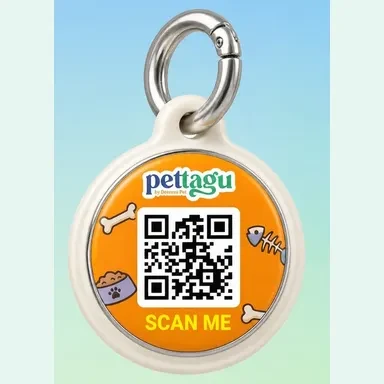 New Pettagu Tag 6